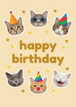 Happy birthday cats